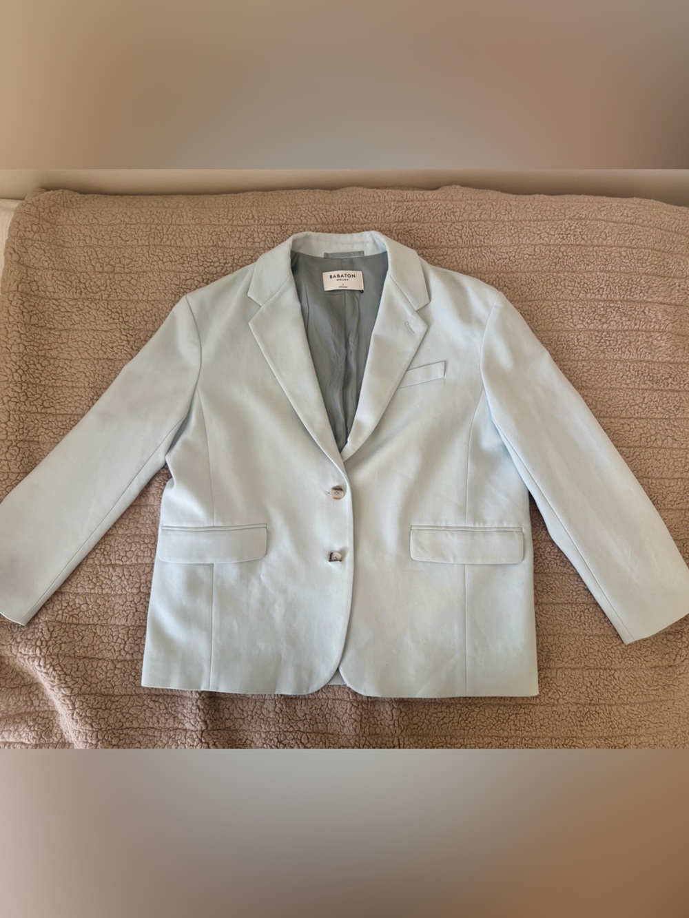 Aritzia Babaton Atelier Blazer | Light Blue